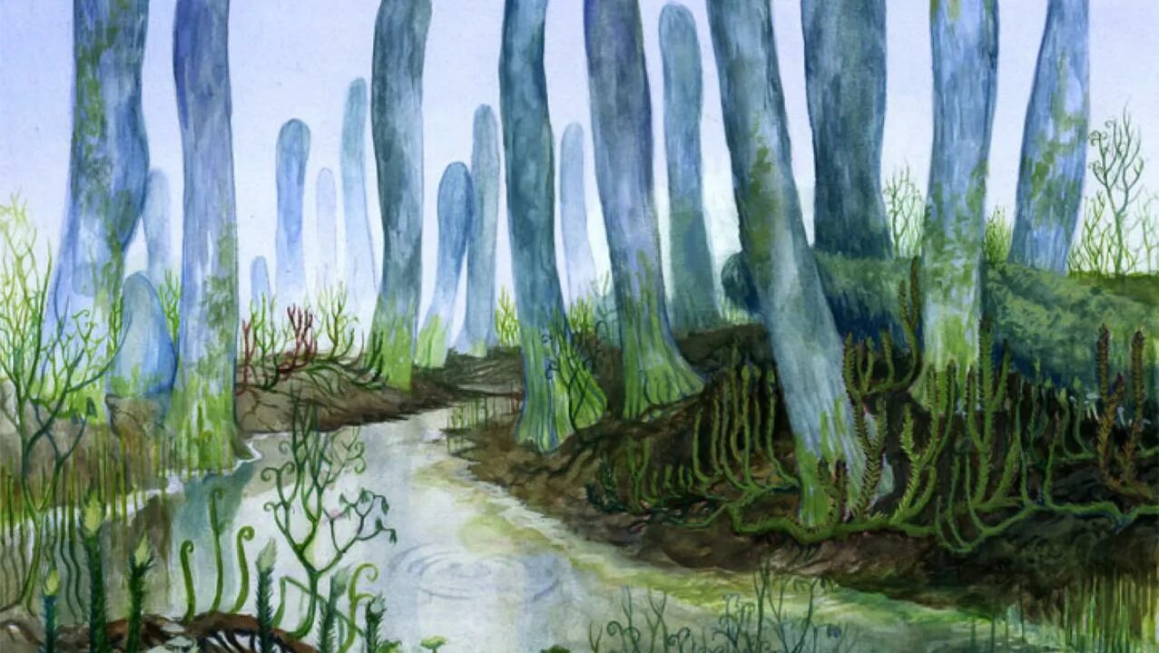 Первые растения планеты. Девонский период палеозойской эры. Палеозойская эра девонский период климат. Драконовые деревья на острове сокотра. Первые растения планеты.