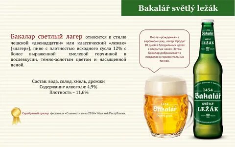 Лагер описание