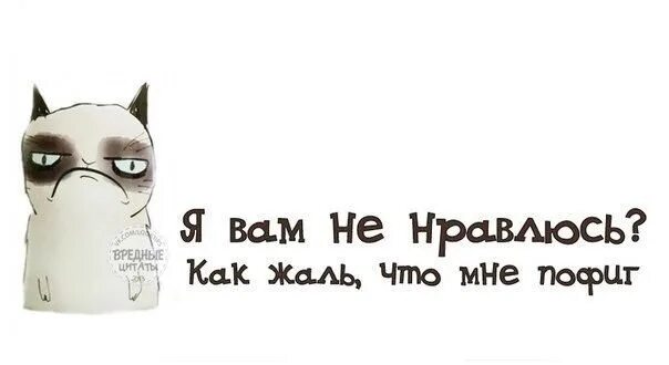Вредные цитаты в картинках прикольные. Ты вредина картинки прикольные. Шутки про женскую логику. Если любить то вредных. Цитата я вредная.