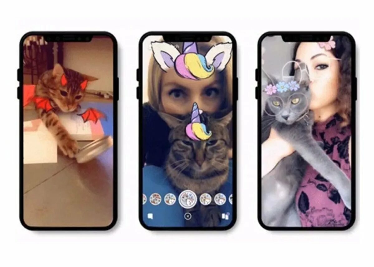 Удаленное в снэпчате. Snapchat маски кошка. Снэпчат с животными. Фильтры для кошек в снэпчате. Снапчат фильтр кошка.