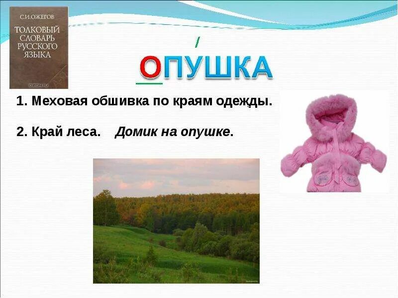 Опушка 2 значение. Опушка описание. опушка это толковый словарь. опушка объяснить значение. описание слова опушка.