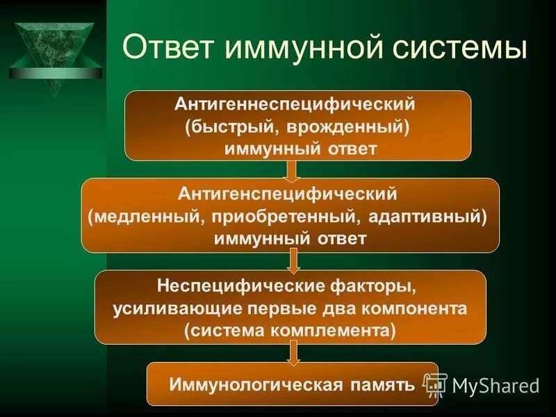 Неспецифический иммунный ответ. Антигенспецифическая реактивность. Антигенспецифические и антигеннеспецифические иммунной защиты. Средняя иммунная реактивность -43.