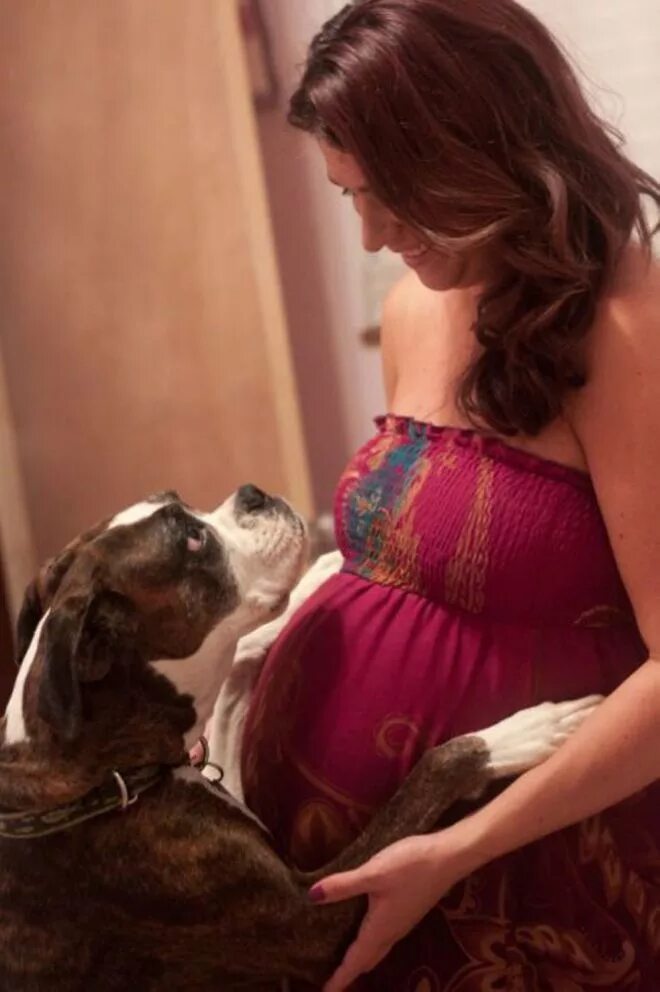 Женщина забеременела от собаки
