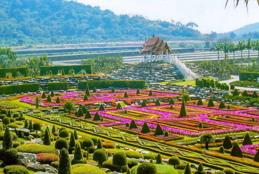 Ботанический сад Нонг Нуч. Сад Нонг Нуч в Паттайе. Тайланд тропический парк Нонг Нуч. Тропический парк Нонг Нуч орхидеи.