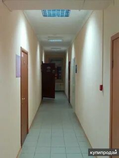 Помещения томск