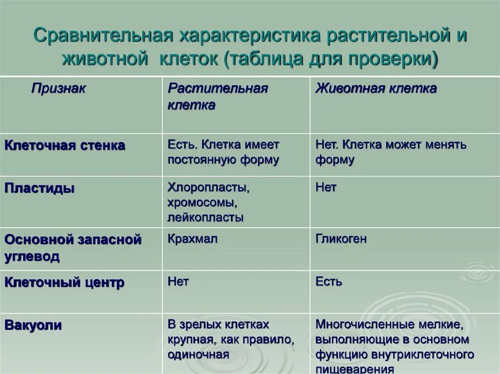 Признаки грибов наличие клеточной стенки. Таблица по биологии сравнение строения клеток растений и животных. Отличительные признаки растительной и животной клетки таблица. Признаки сходства растительной и животной клетки таблица. Сравнение растительной и животной клетки таблица 5 класс биология.