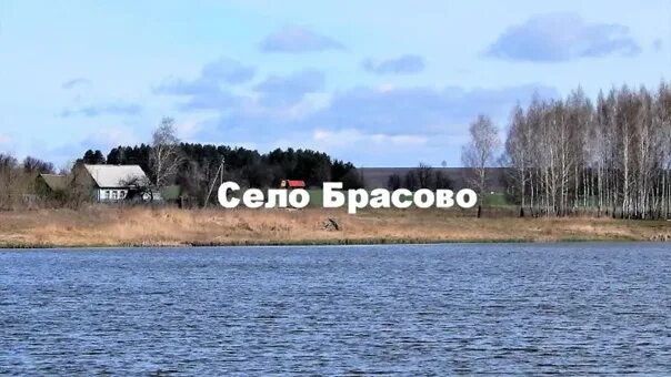 Брасово село. Усадьба апраксиных брасово. Брасово храм василия великого. Брасово церковь. Церковь василия великого брасово.