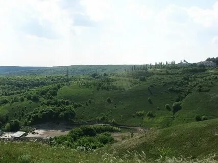 Лысогорский биография