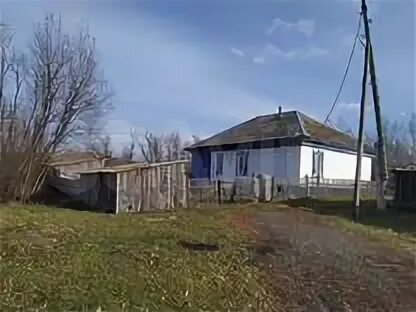 Погода алексеевка алтайский край