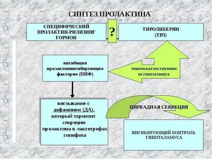 Пролактиновый мужчина