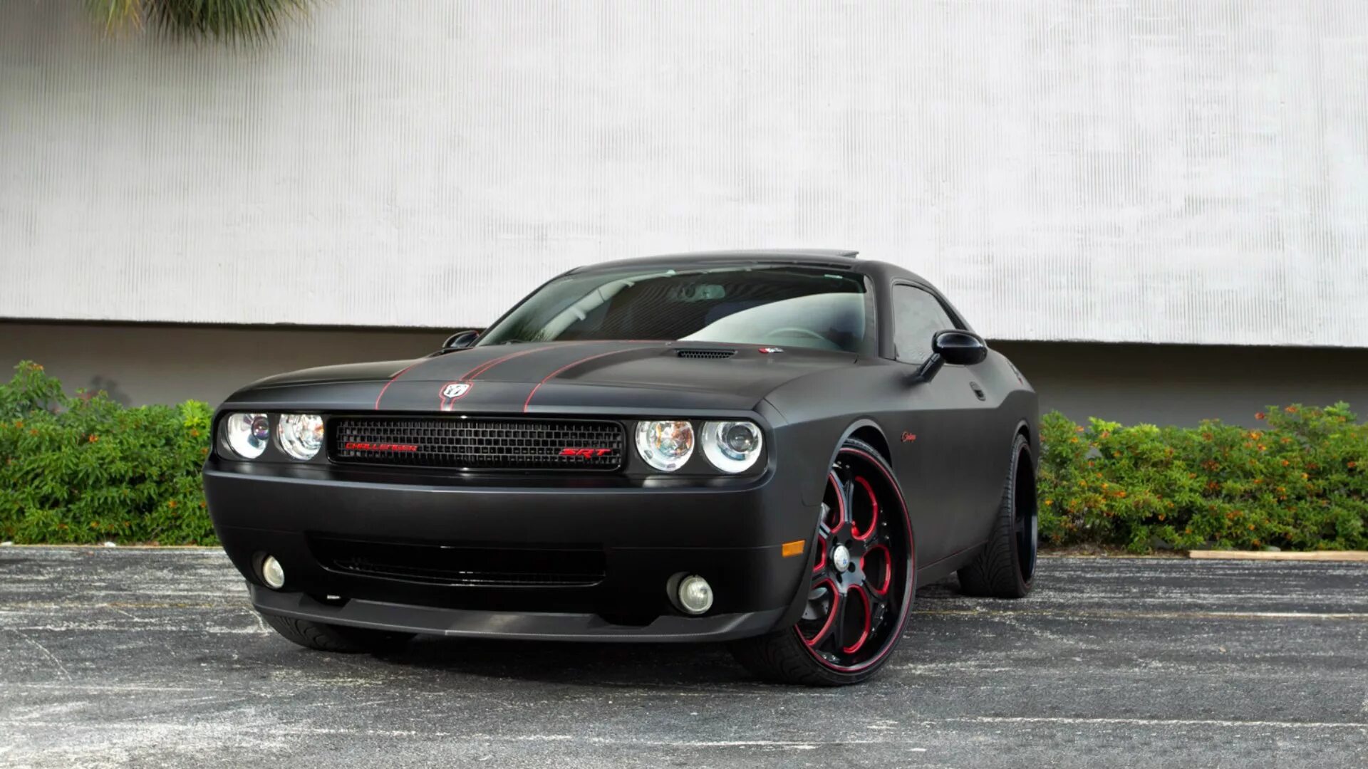 Дочь челленджер. Dodge Challenger srt8. Dodge Challenger 2009. Додж Челленджер СРТ 8. Dodge Challenger srt 2009.