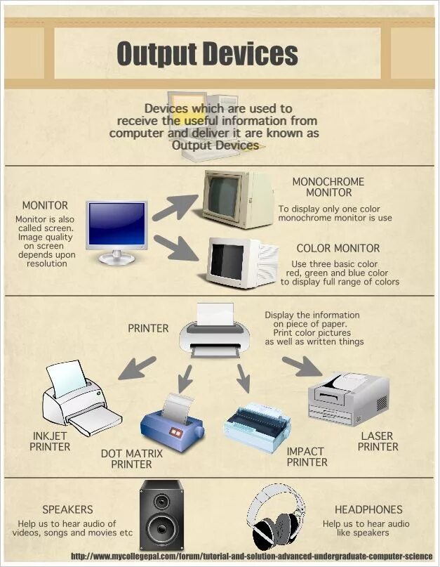 Functions of computers. Output devices. Что такое output на компьютере. Инфографика архитектура компьютера. Output devices are.