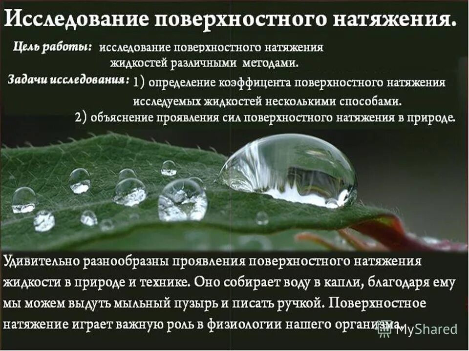 Поверхность натяжения воды. Поверхностное натяжение. Поверхностное натяжение жидкости. Поверхностноетнатяжение воды. Сила поверхностного натяжения пример.