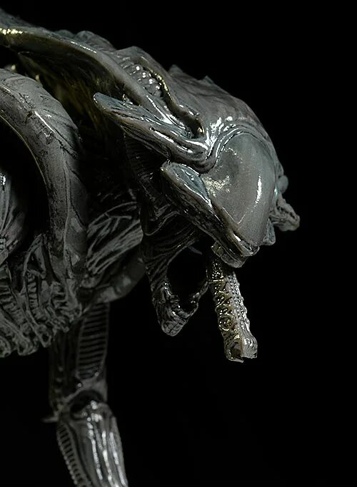 Alien crow. Aliens colonial marines преторианец. Ксеноморф рейвен. Aliens colonial marines ксеноморфы. Aliens colonial marines all aliens.