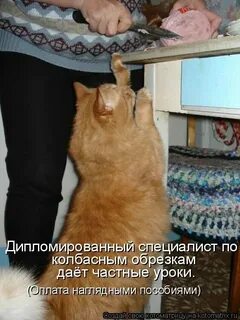 В колбасных обрезках фраза