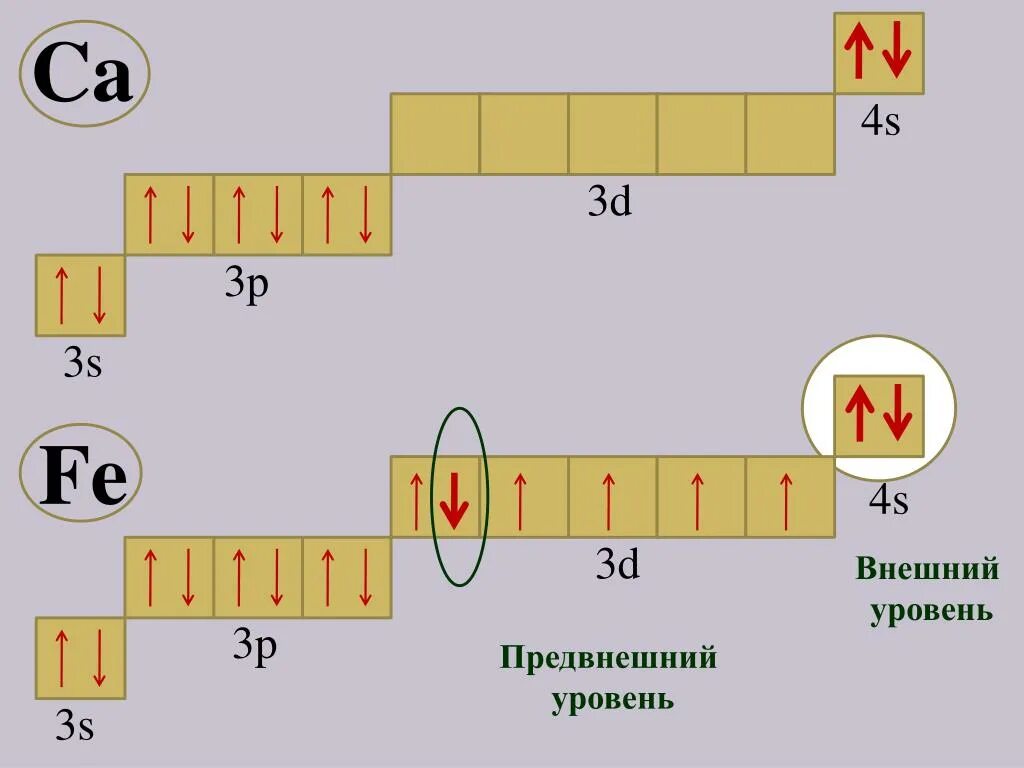 Электронные уровни тест