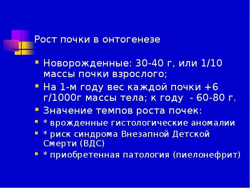 Масса почки у взрослого человека. Масса почек в норме. Вес почки у взрослого.