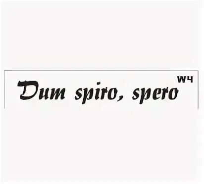 Дум спиро спера