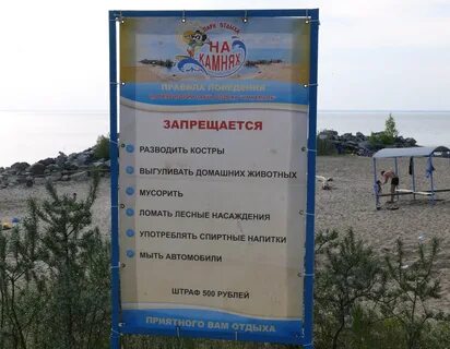 Дневник бердск