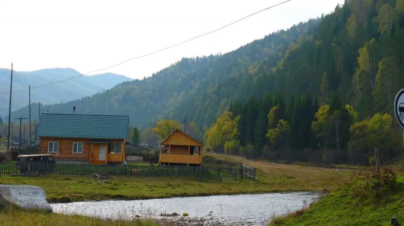 Большая речка Красноярский край Ермаковский район. Село большая речка Ермаковского района Красноярского края. Красноярский край Ермаковский район поселок большая речка. Река большая речка Красноярский край.