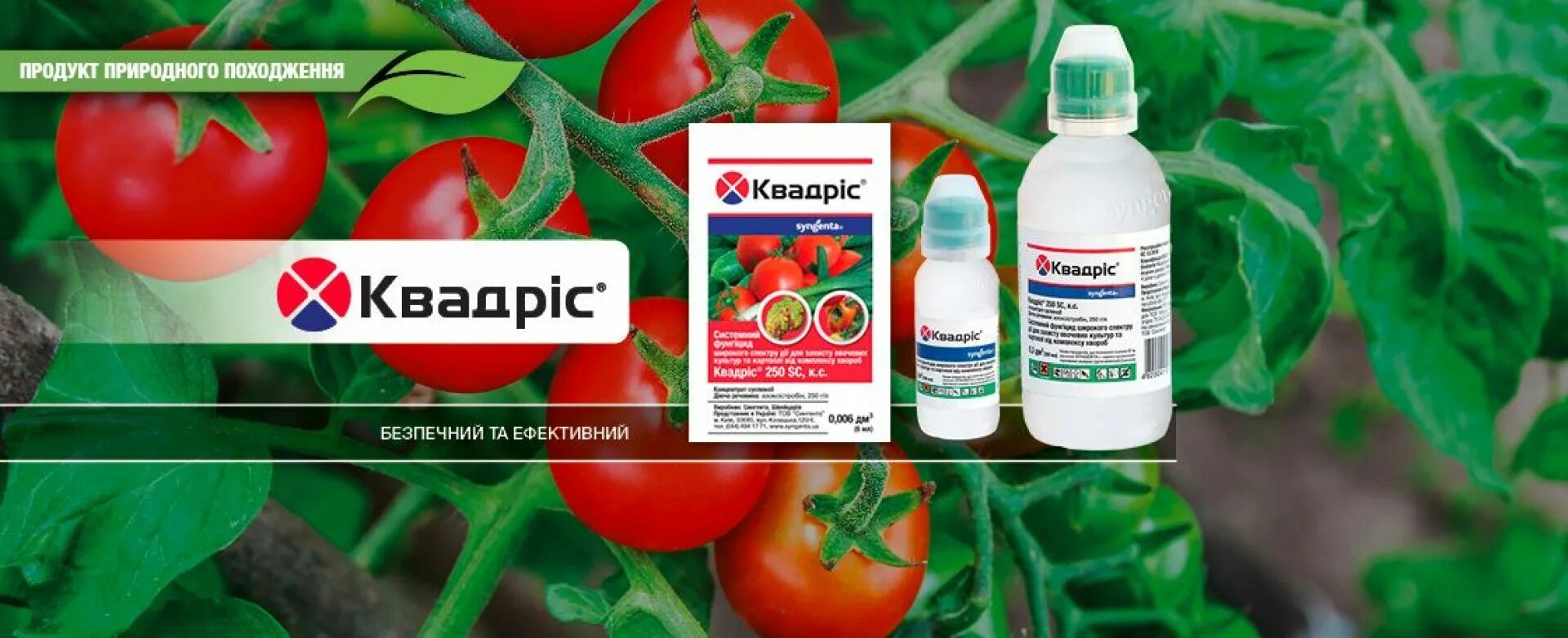 Квадрис 10 мл. Квадрис фунгицид. Фунгицид Квадрис 1 л. Syngenta Квадрис. Квадрис для винограда