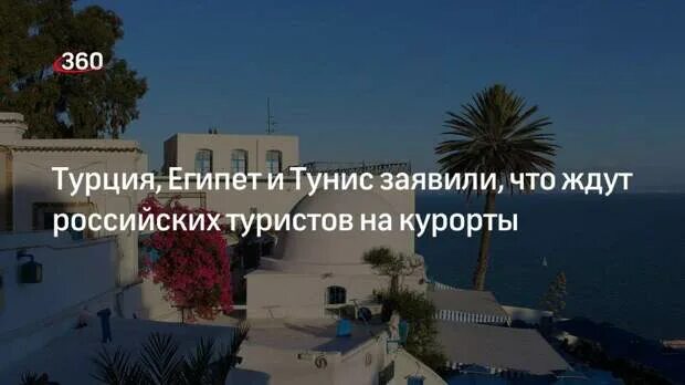 Турция египет тунис. Тунис и турция. Турция египет. Русские в египте. Турция или египет.