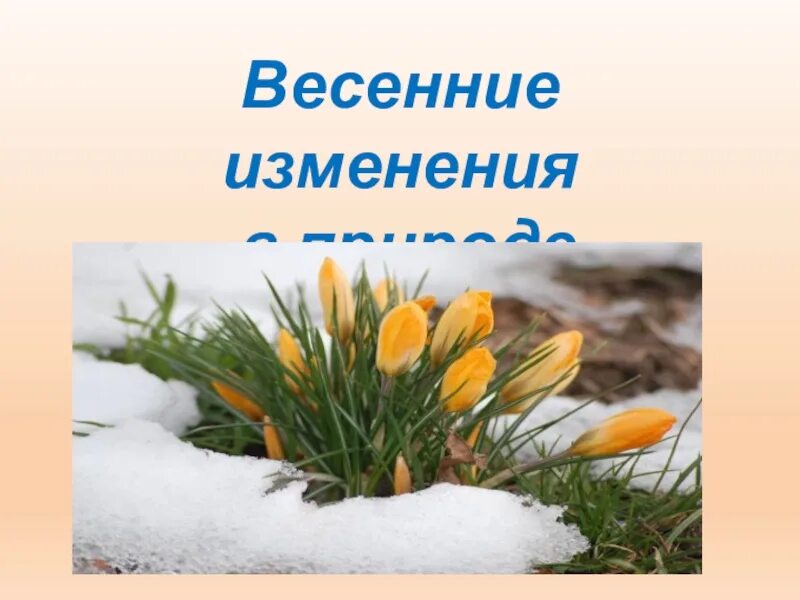 Весенние изменения в природе 1 класс. Весенние изменения. весенние изменения в природе.