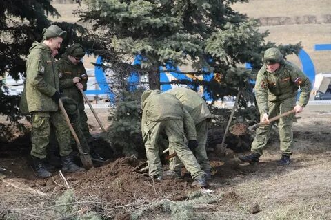 А женщины копали текст