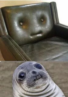 Тюлень мем
