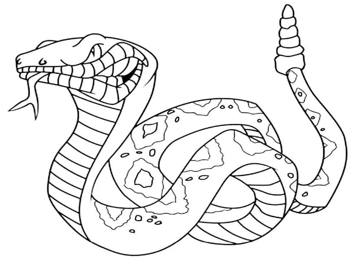 Раскраски змей распечатать. Змея раскраска. Змея раскраска для детей. Раскраски змей. Раскраска змеи для детей.