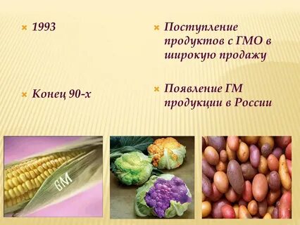 Темы гмо