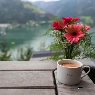 Кофе и цветы (139 фото) .