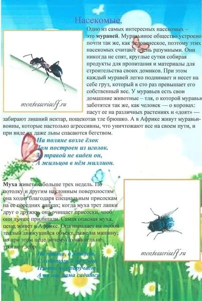 Комаров подготовительная группа по фгос. Папка передвижка насекомые. Родителям о насекомых. Папки передвижки на тему насекомые. Папка передвижка насекомые для родителей.