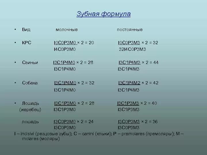 3 00 a m. Металлоискатель md4030 схема. Зубные формулы млекопитающих. Зубная формула животных. Зубная формула разных видов животных.