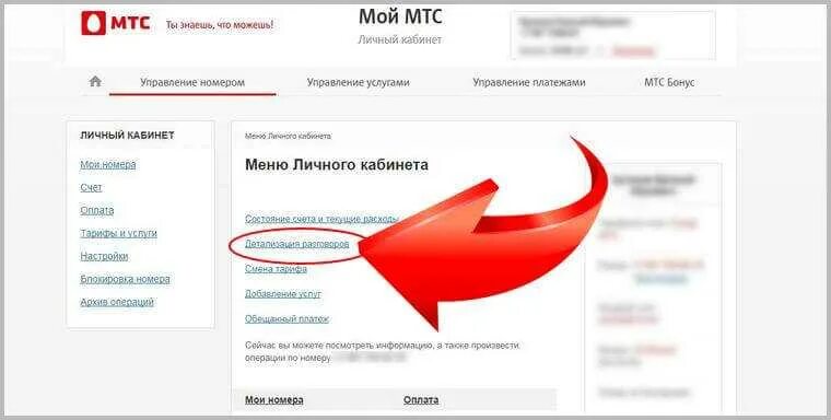 Можно ли мтс. Удалить детализацию звонков МТС В личном кабинете. Как удалить детализацию звонков. Как в личном кабинете МТС сделать детализацию звонков. Как удалить историю звонков в личном кабинете МТС через телефон.
