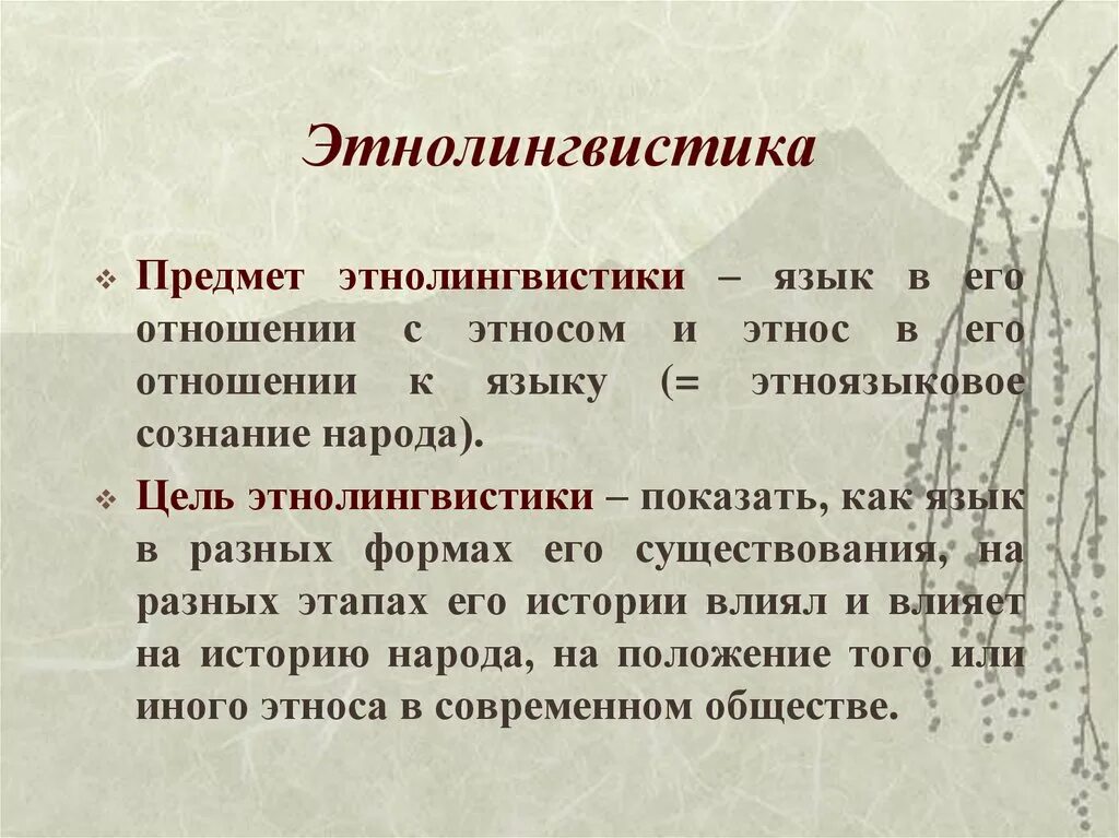 Словарь этнолингвистические древности. Этнолингвистика. Этнолингвистика методы исследования. Этнолингвистика презентация. Предмет этнолингвистики.