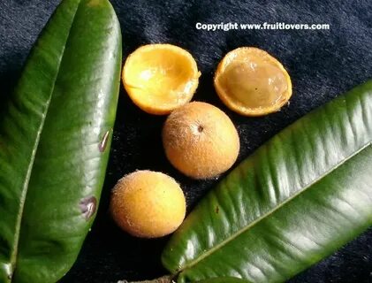Rare fruit
