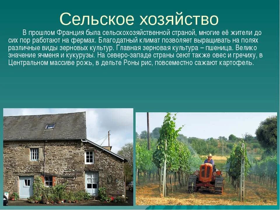 хозяйство франции кратко. особенности хозяйства франции. специализация сельского хозяйства франции. характеристика сельского хозяйства франции кратко.