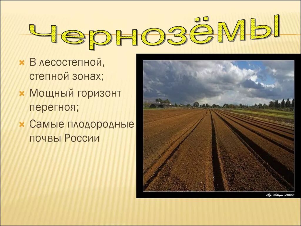 В какой природной зоне самые плодородные земли