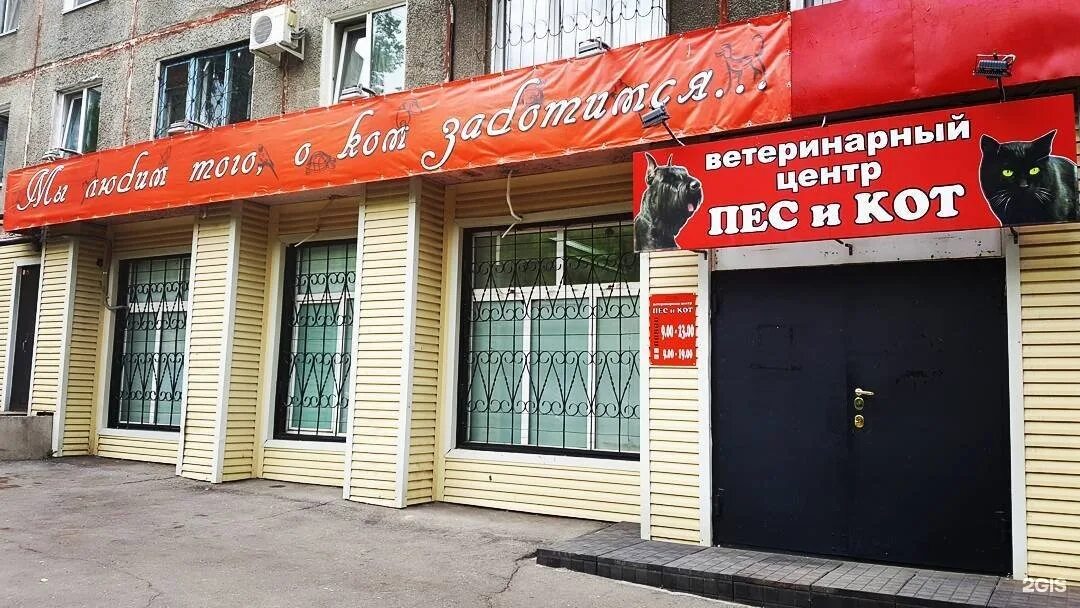 Кот и пес, ветеринарная аптека на Первомайской улице в Бору, Нижний Новгород - о