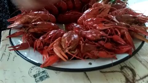 Вкусные раки омск
