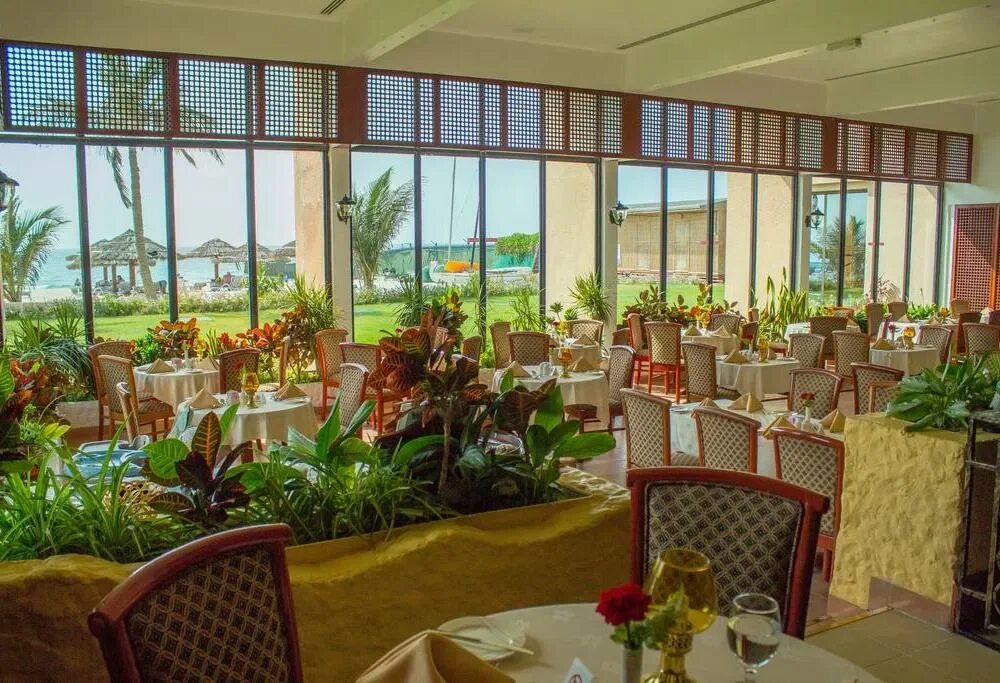 Отель лоу лоу бич резорт шарджа. Lou lou a beach resort sharjah 3 оаэ. Отель лоу лоу бич шарджа. Лулу бич отель шарджа. Отель lou lou.