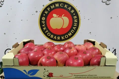 Фруктовая компания сайт