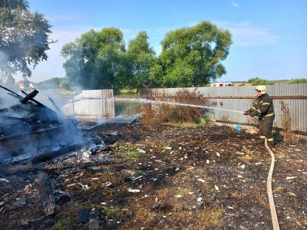 Гамаюнов евгений георгиевич. Гамаюнов евгений мчс москва. Псч 33 пч. Мчс 33. Васин мчс владимир.