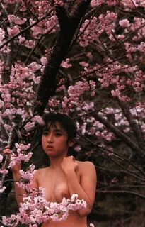 宝 生 桜 子 写 真 集 商 品 一 覧 の 通 販 gostilna-livada.si.