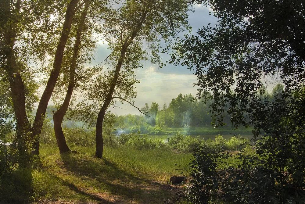 Чистый полдень. Пейзаж солнечный полдень. Летнее небо полдень. Поле в полдень. Полуденное небо.