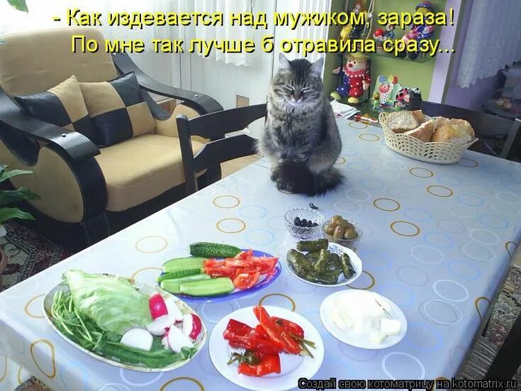 Мужчина зараза. Наклейки на грузовые автомобили. Мужчина зараза. Мужчина зараза. Меня не возьмет никакая зараза.
