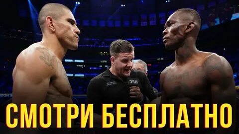 Включи алекс про