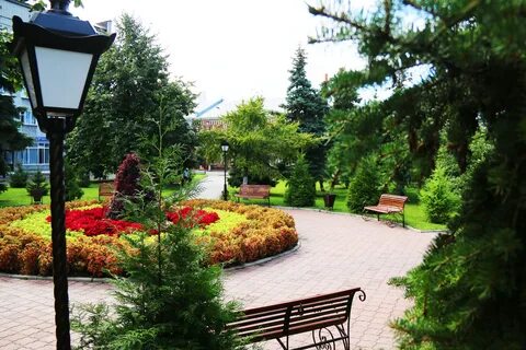 Цветы мичуринск