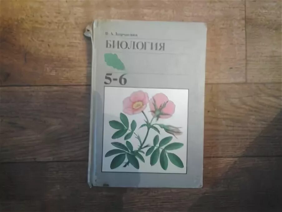 биология корчагина 6-7. старые учебники по биологии. ботаника корчагиной. ботаника учебник. ботаника корчагиной.